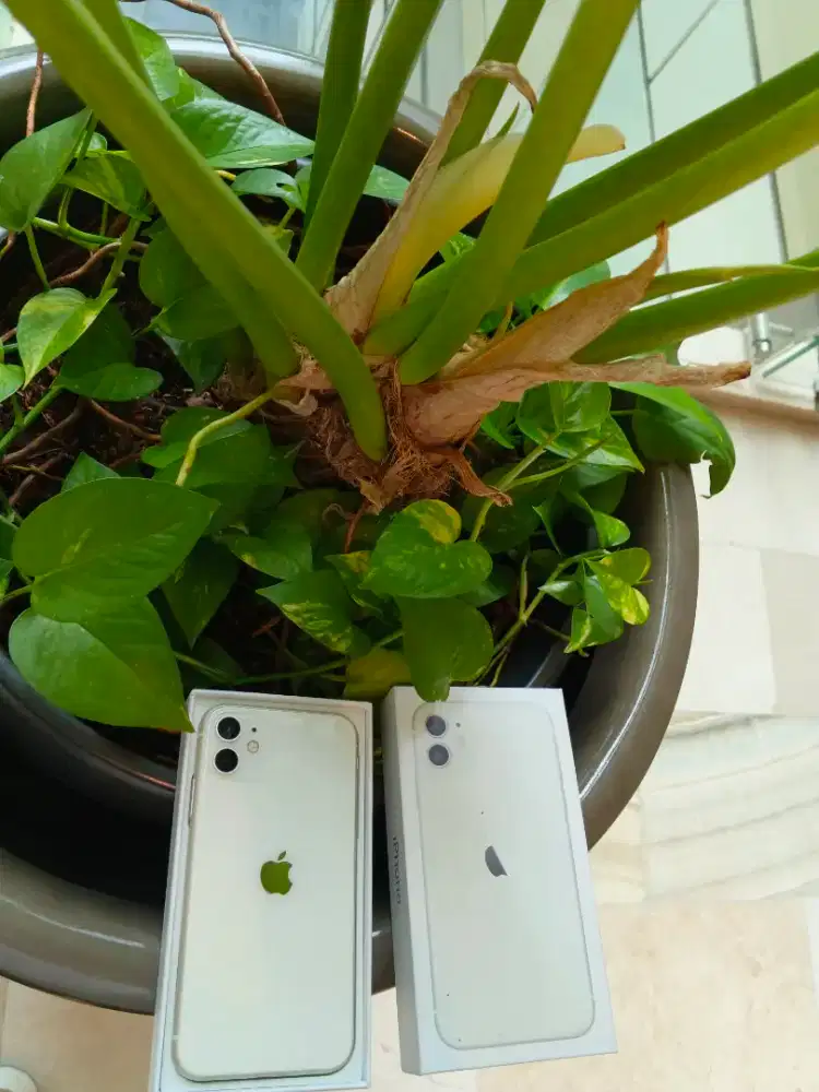 Iphone 11 128gb termasuk baru