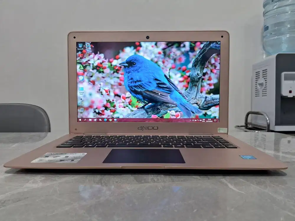 AXIOO 14in N3350 SSD +HDD Laptop MyBook SLIM Ringan BerGARANSI Toko
