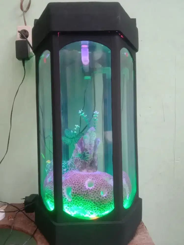 Aquarium kaca segi 6