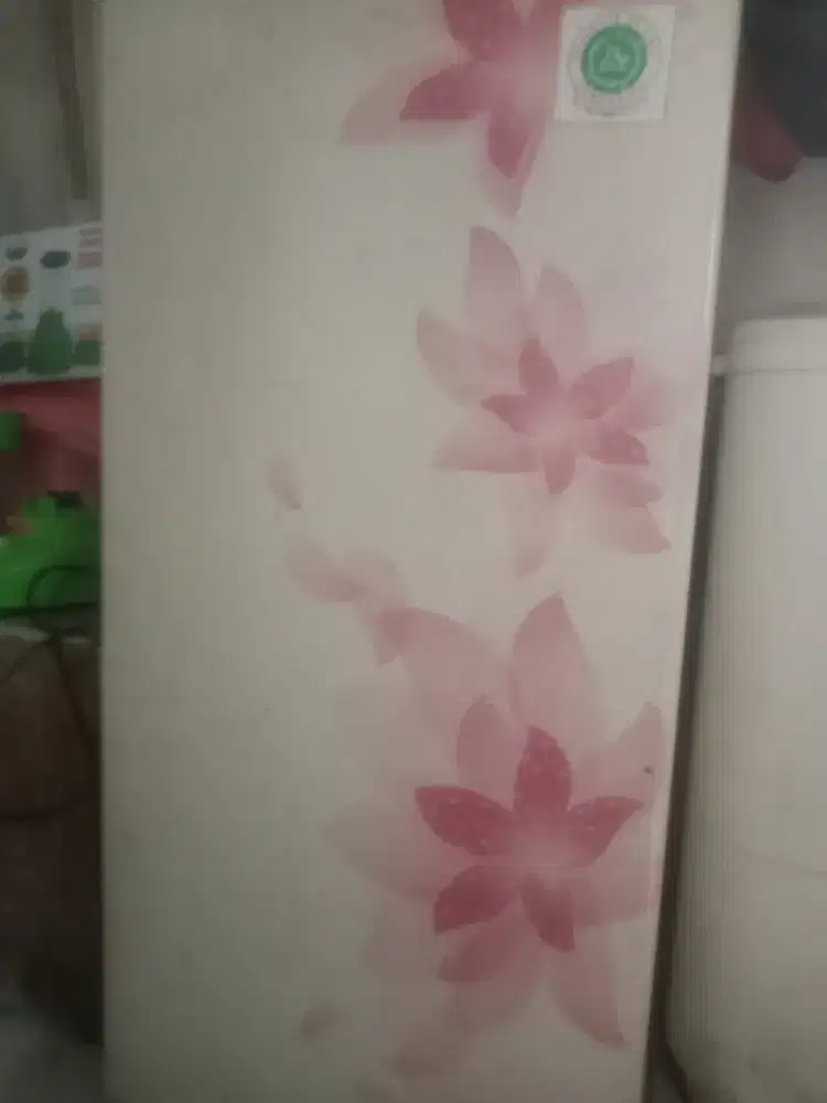 Jual kulkas shar 1 pintu dan mesin cuci 2 tabung