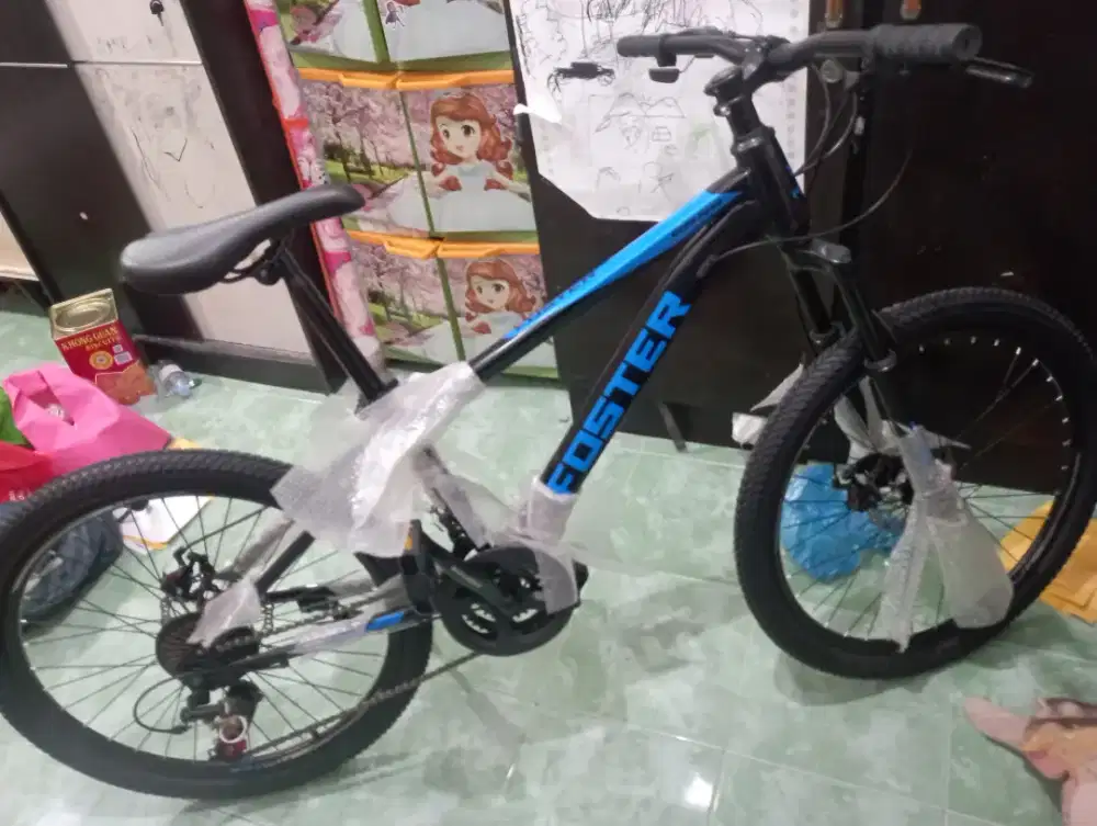 Sepeda Gunung FOSTER 6658 24 Inch