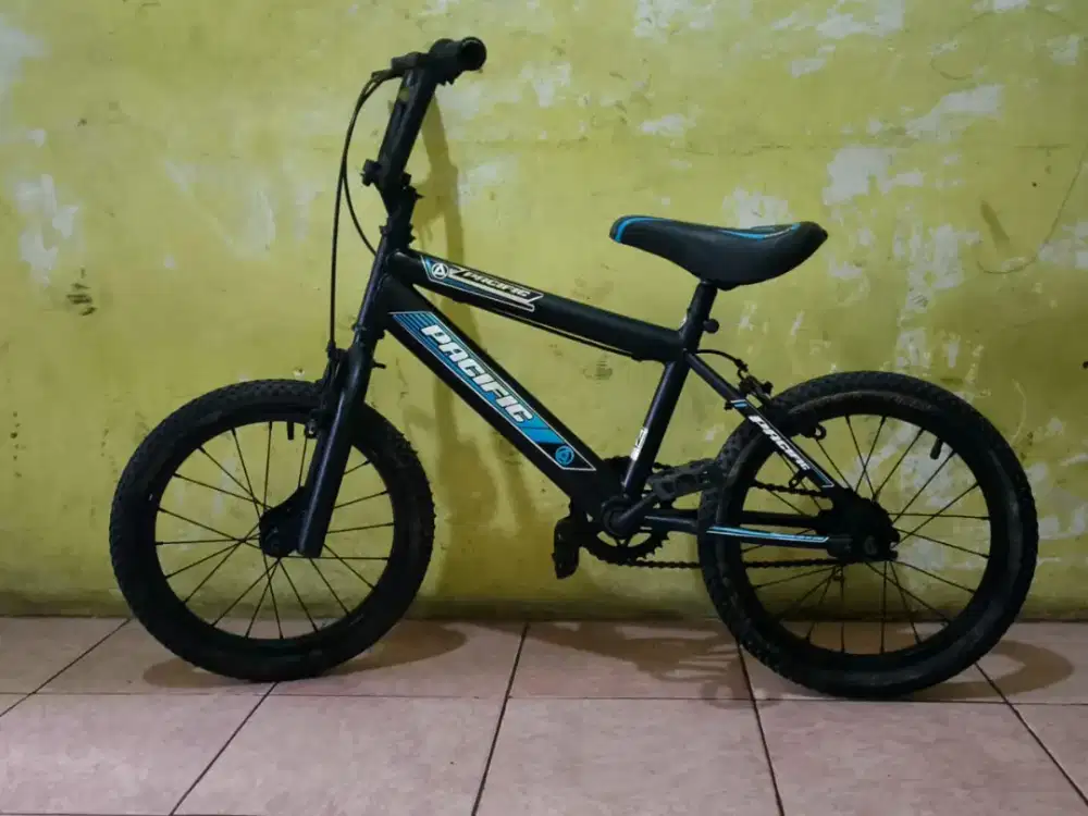 Sepedah anak usia 5 sampai 8 tahun