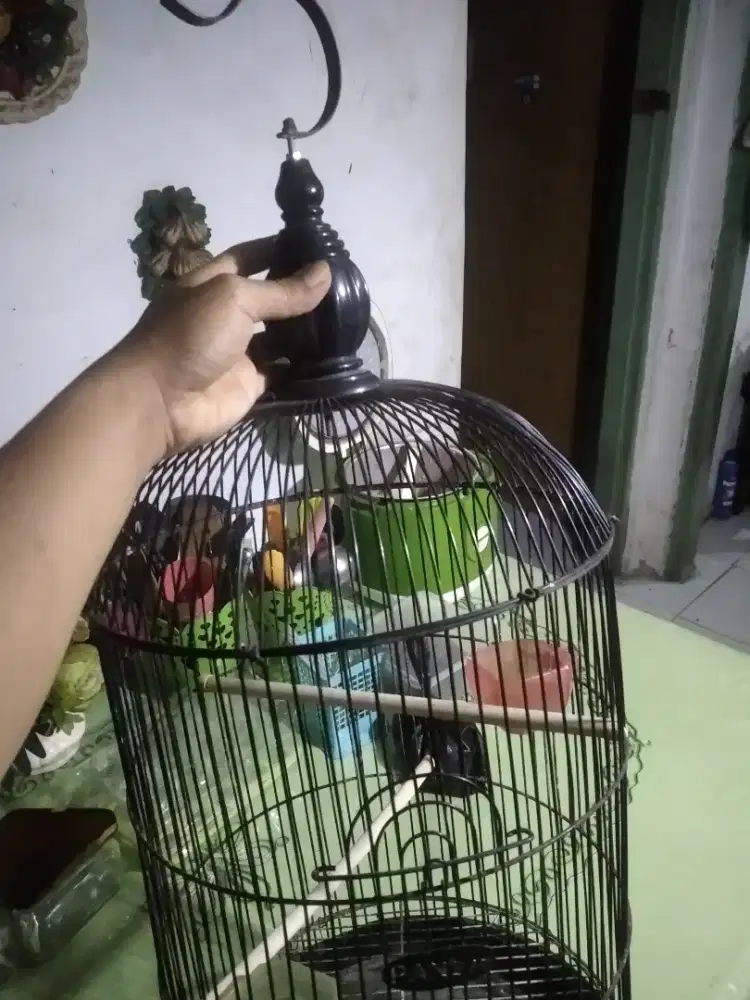 Kandang burung besi bekas Lovebird