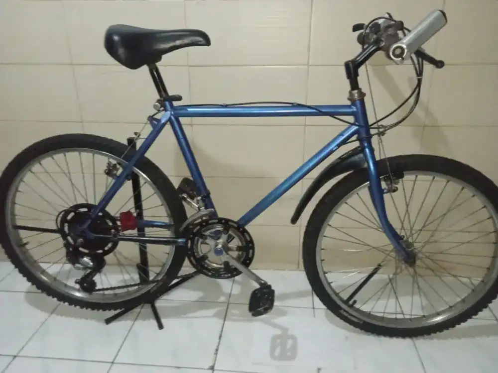 Sepeda vintage mirip federal