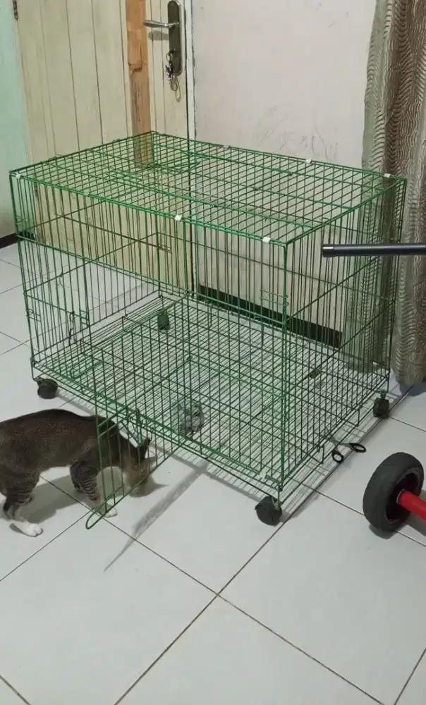 Dijual Cepat Kandang besi Bekas Kondisi Mulus
