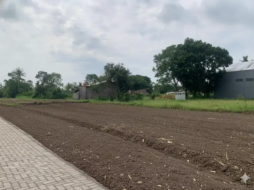 Tanah Murah Jogja Lokasi Dekat Jl Damai, 3 Jutaan Aja