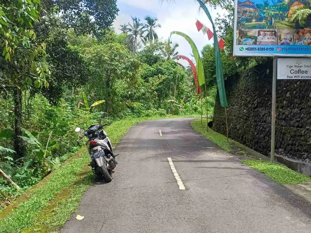 di jual tanah cantik view hutan dan lembah 25 menit ke ubud kota.