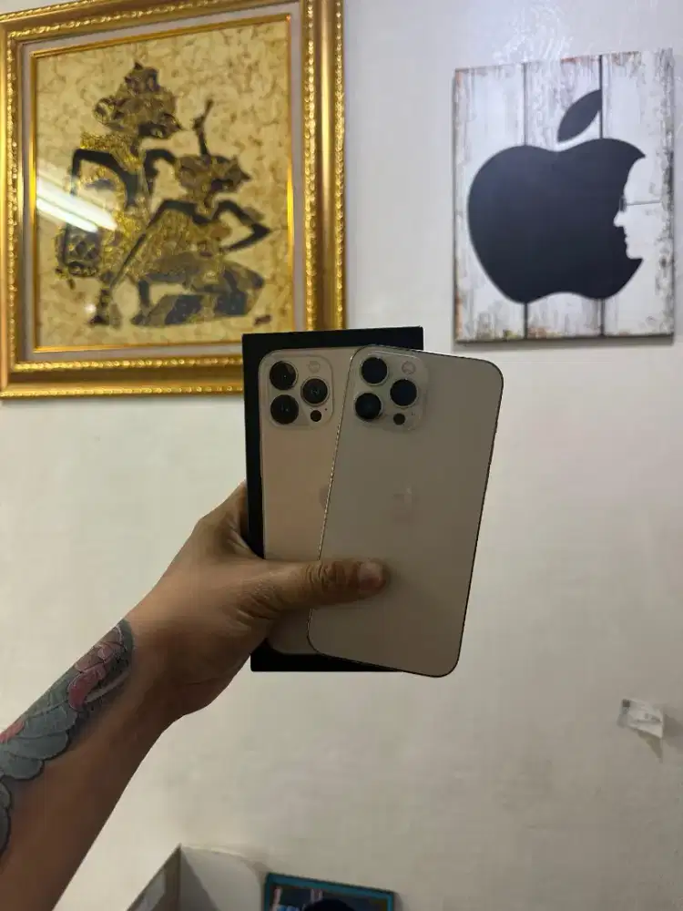 iPhone 13 promax 128 GB Gold