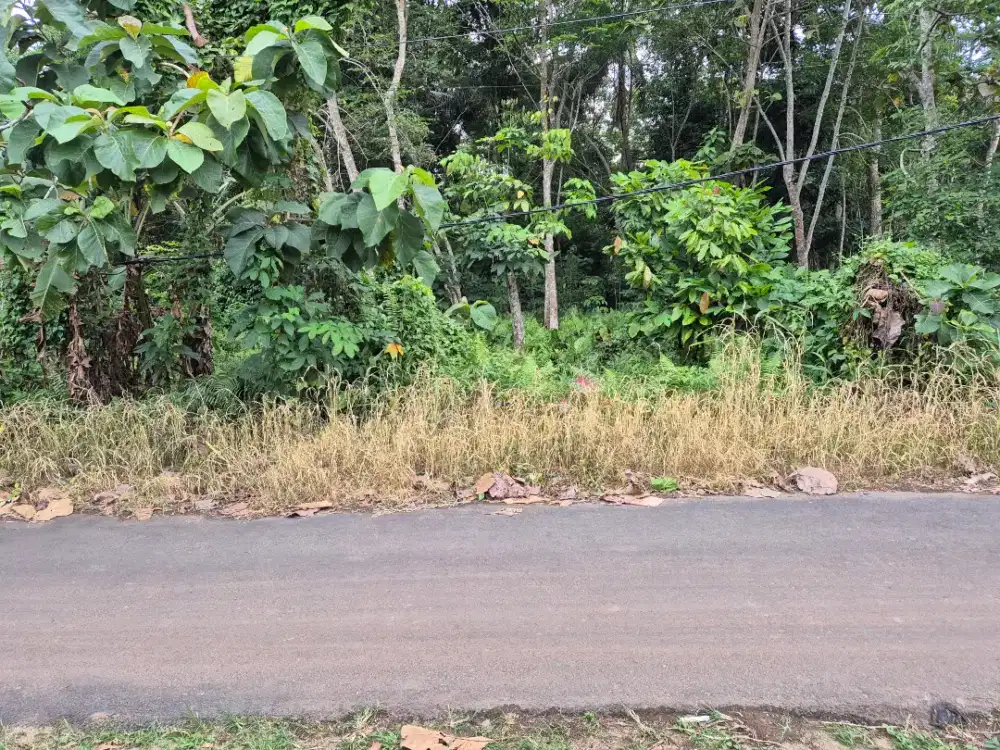 Dijual Lahan Kel. Batu Putuk Kaki Gunung Betung, Kota Bandar Lampung