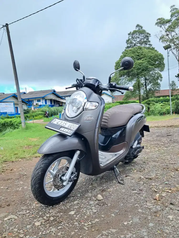 Scoopy donat 2018 TT/BT
