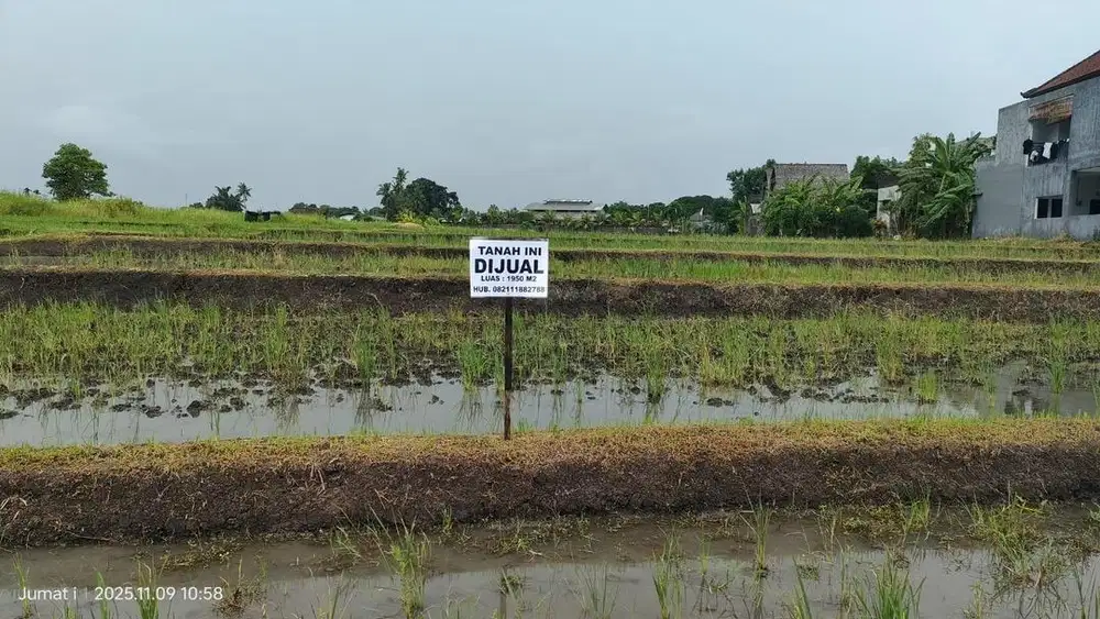 Dijual Tanah Seluas 1950m2