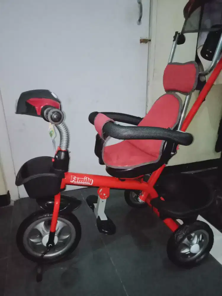 Sepeda anak roda 3 family premium robin 391
