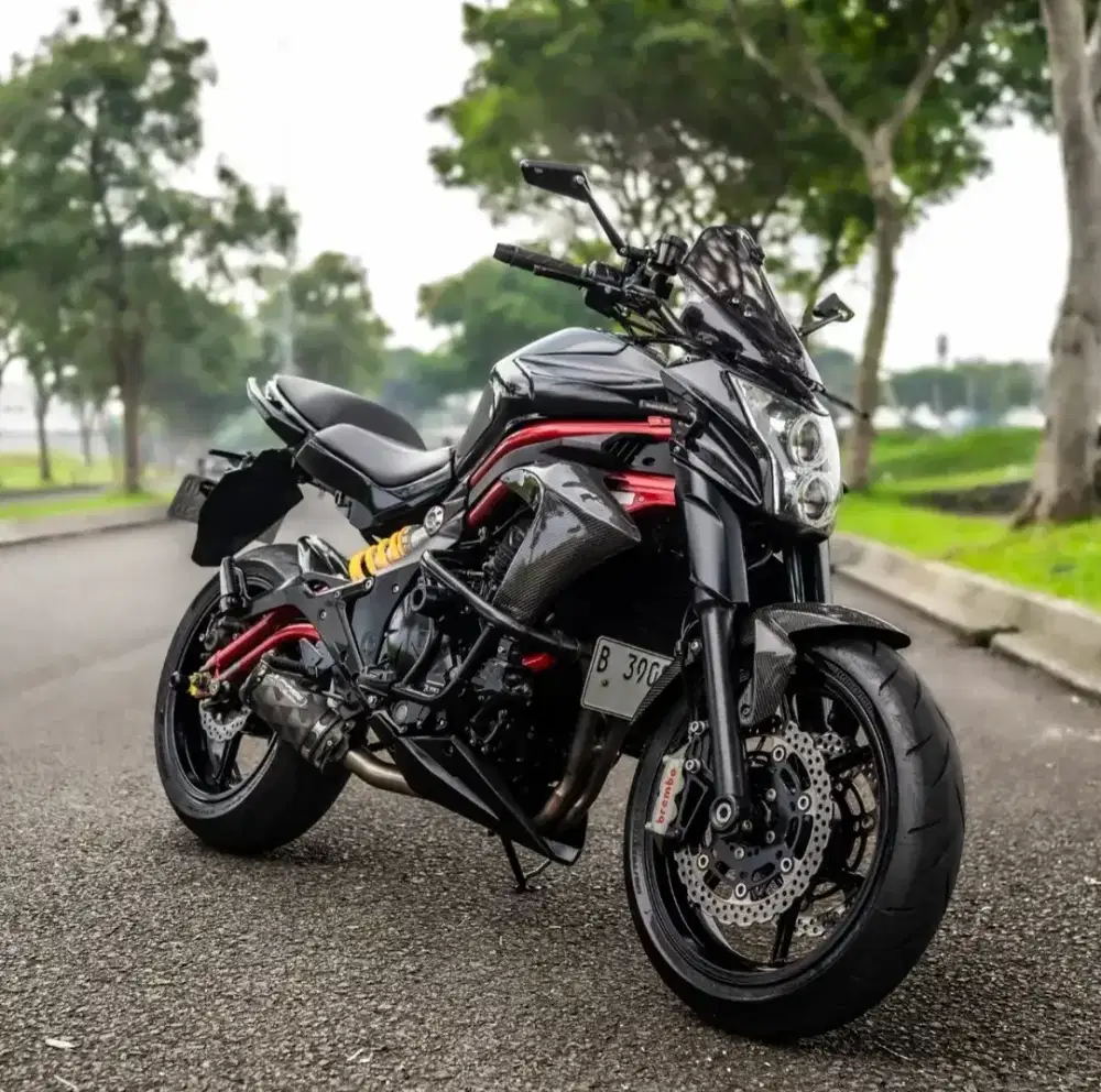 ER6N ABS 2015 RARE RED FRAME
(LAST EDITION)