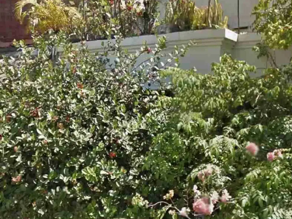 Murah Mulyosari Lebar 11 Dekat Kampus ITS, Uwika, Muhammadiyah