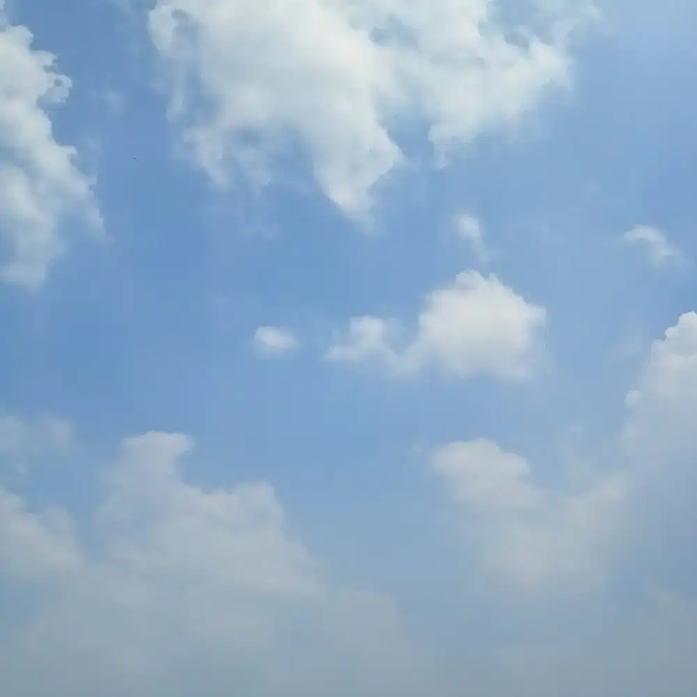 Dicari orang yang mau menemani keliling