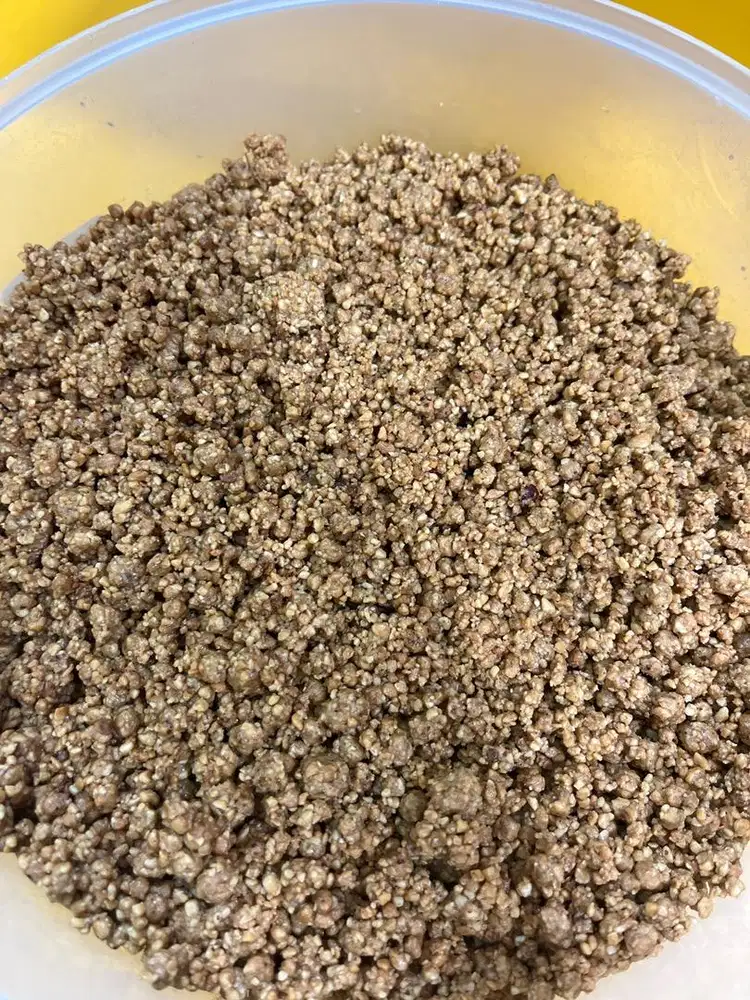 DI CARI PEGAWAI LAKI LAKI YANG MENGUASAI TERANG BULAN DAN MARTABAK