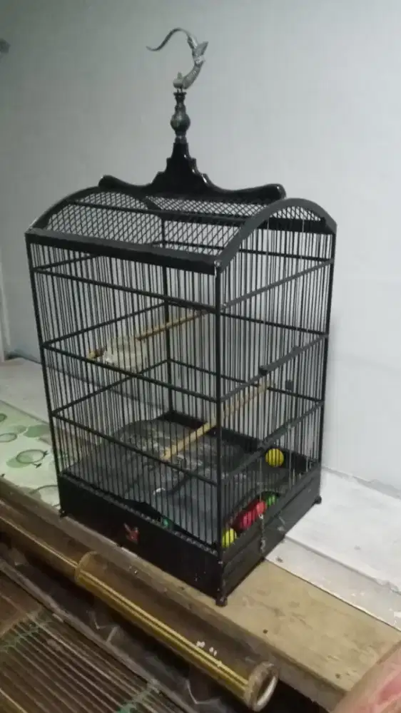 Kandang Burung Bekas merk Gangster