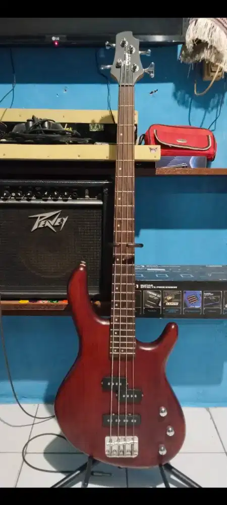 Bass cort action senar 4 original indonesia