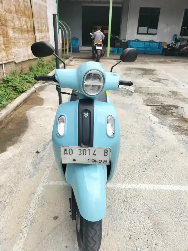 Fazzio Neo 2023 MURAH