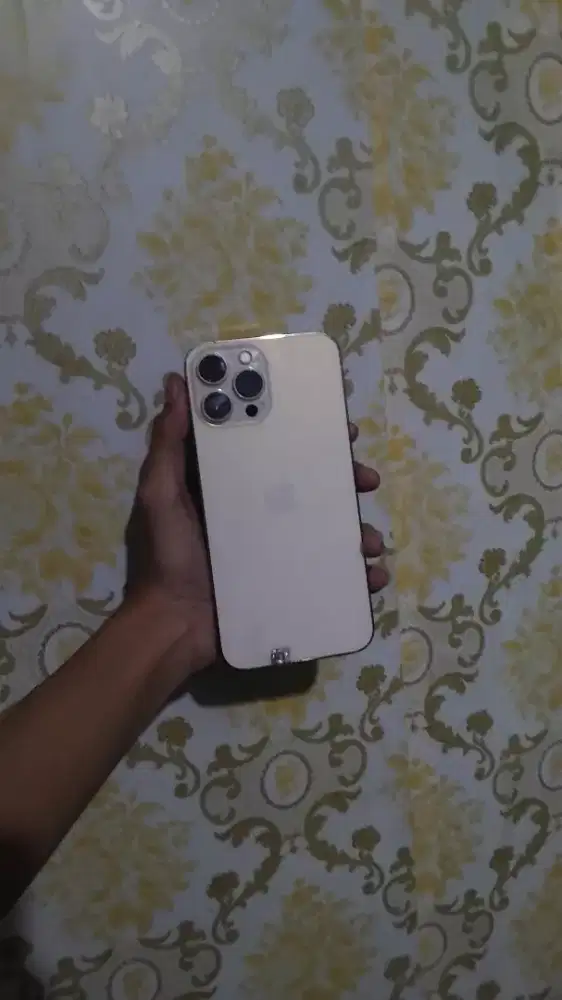 jual iphone 13 promax 128 ex inter Zp/a fulset original