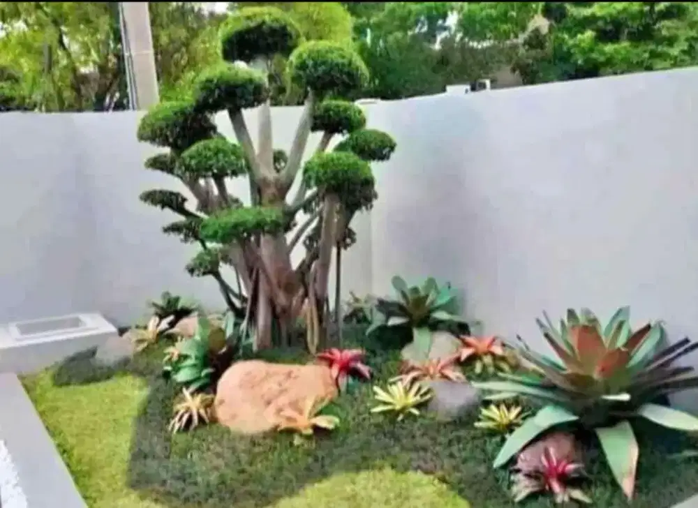 Jasa perawatan taman/kebun/bersihin pekarangan