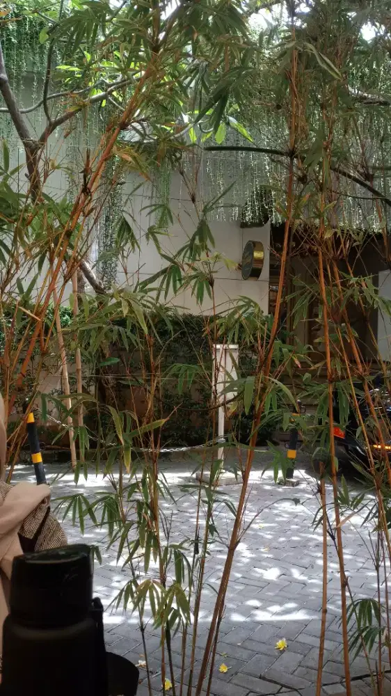 saya membutuhkan pekerjaan freelance