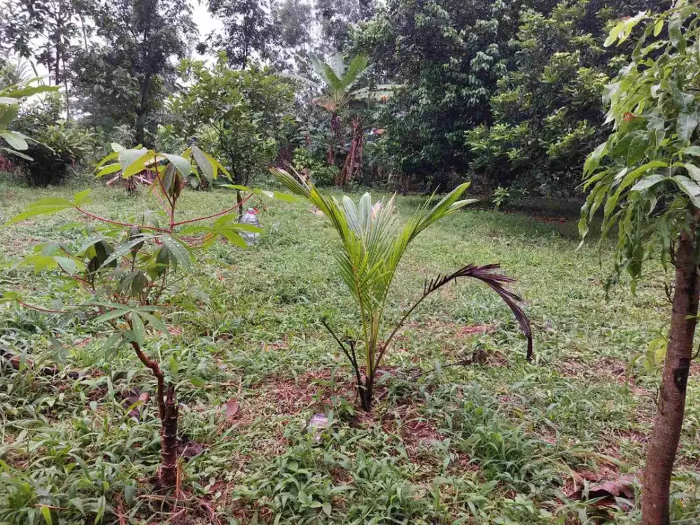 Tanah Kavling 380 m, Dekat Pintu Tol Sadang 2,3 km, Sadang, Purwakarta.