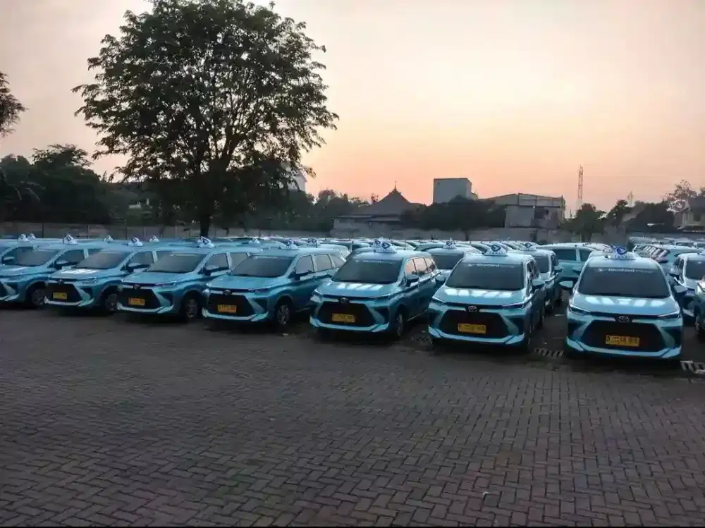 Driver supir sopir taxi bluebird