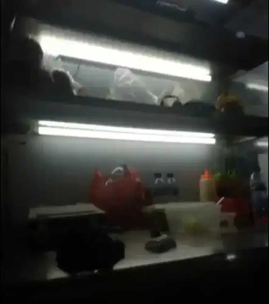 Jaga toko burger dan buat burger