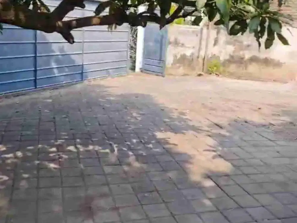 Jual Tanah Hook Putat Jaya Surabaya Tembok Keliling Siap Bangun