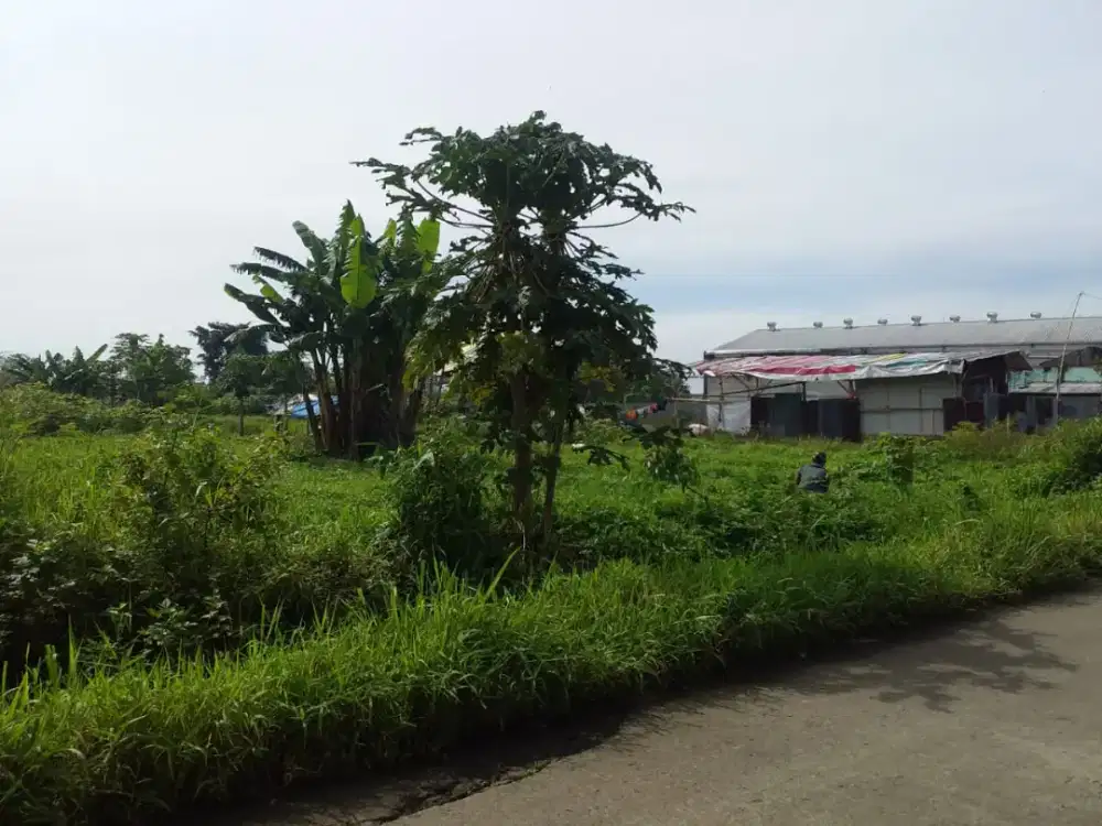 DIJUAL MURAH TANAH MARGAASIH NEGO SAMPE JADI