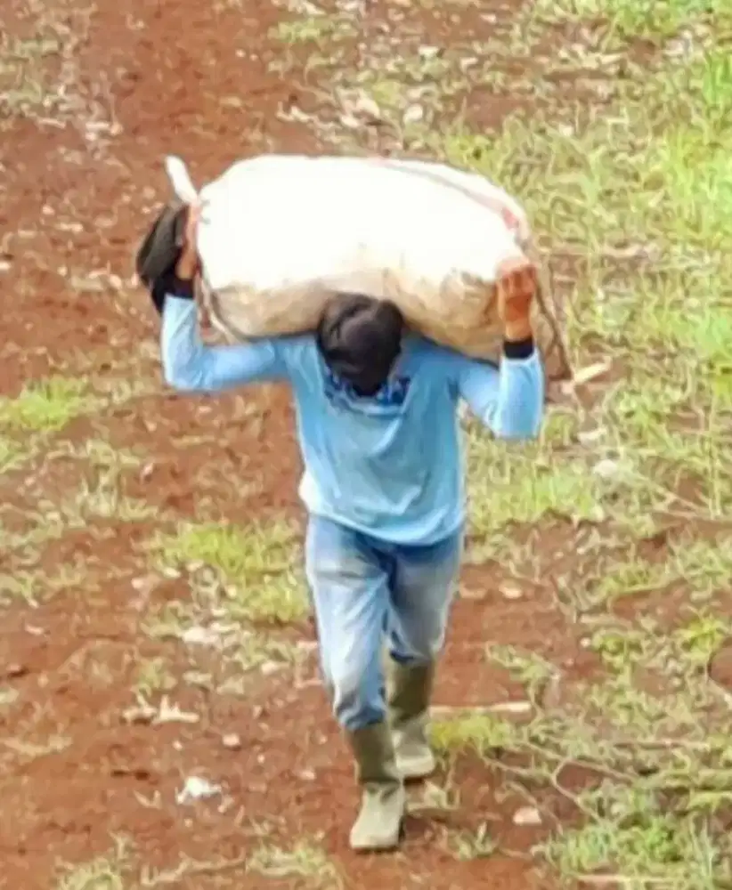 Mencari Pekerjaan Yg Nyata