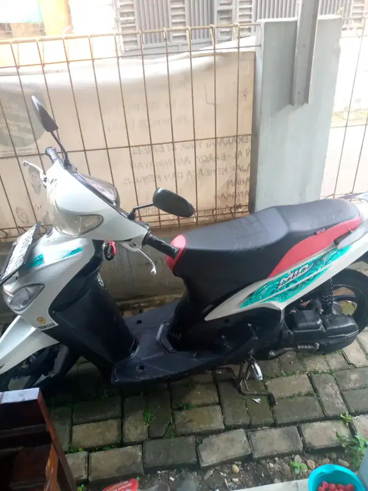 smile.stetr on spedo on.pjk on pnjanggg