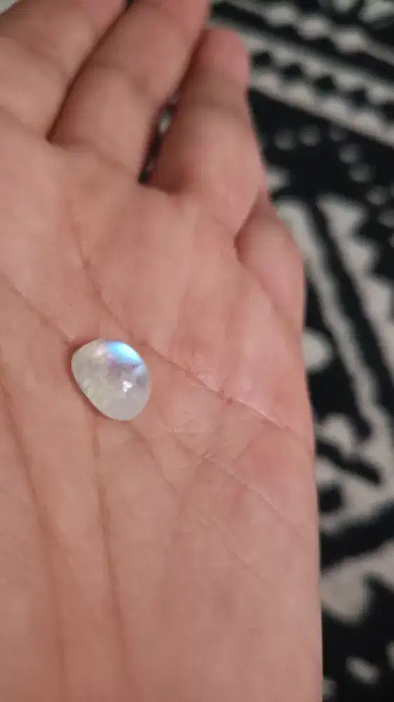 Batu cincin duri bulan laut