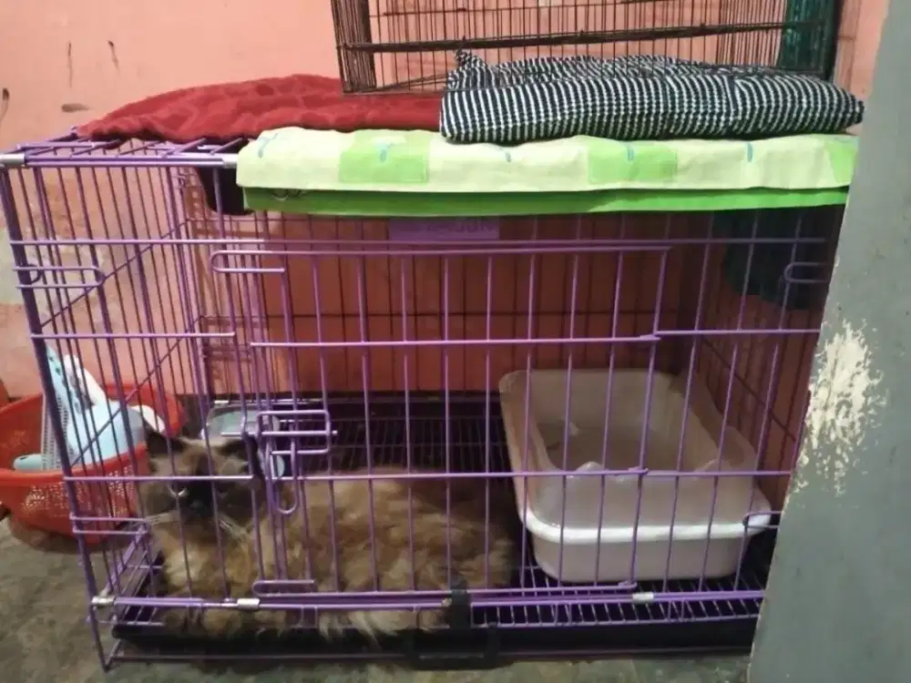 Kandang kucing ukuran sedang