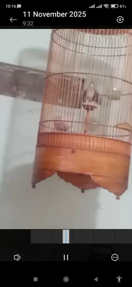 Parva gacor mau dimahar silahkan dinego