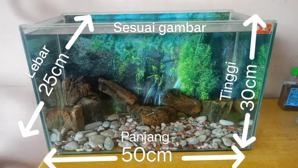 Di jual aquarium