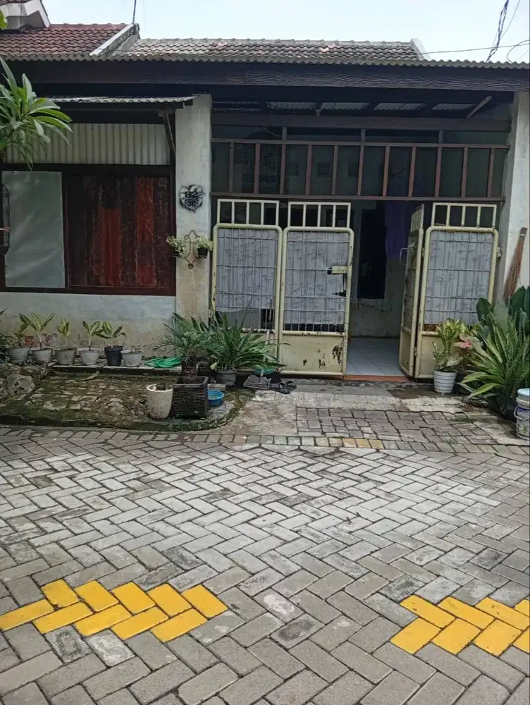 DIKONTRAKAN rumah sendiri