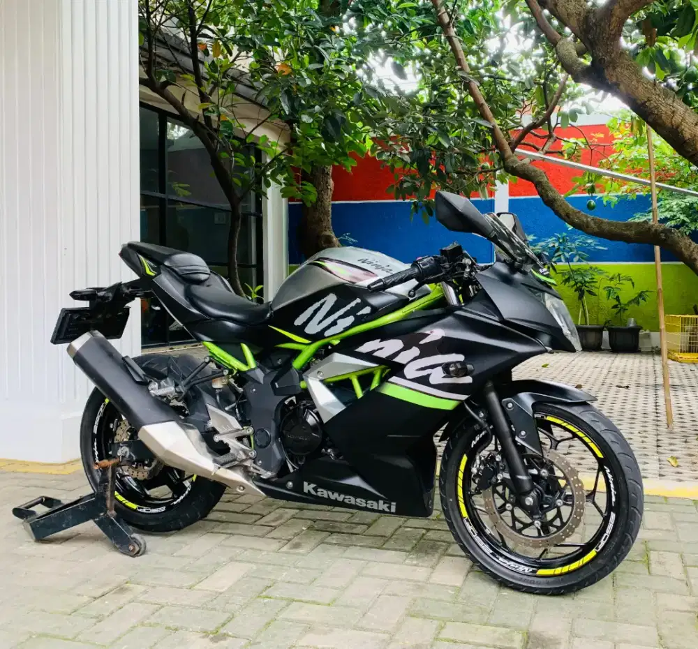 Kawasaki ninja 250 sl mono