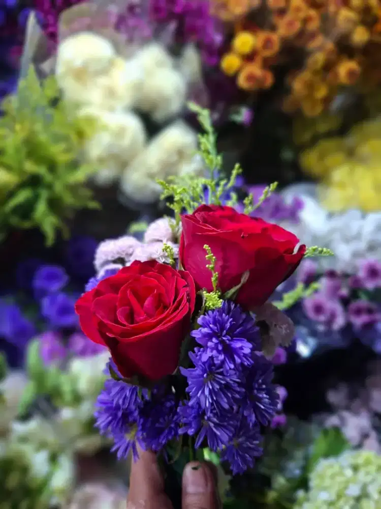 CARI TUKANG OJEK BULANAN