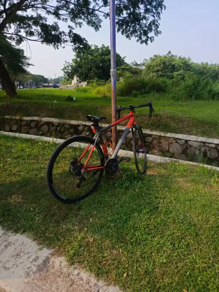 for sale sepeda roadbike element frc38 size 50