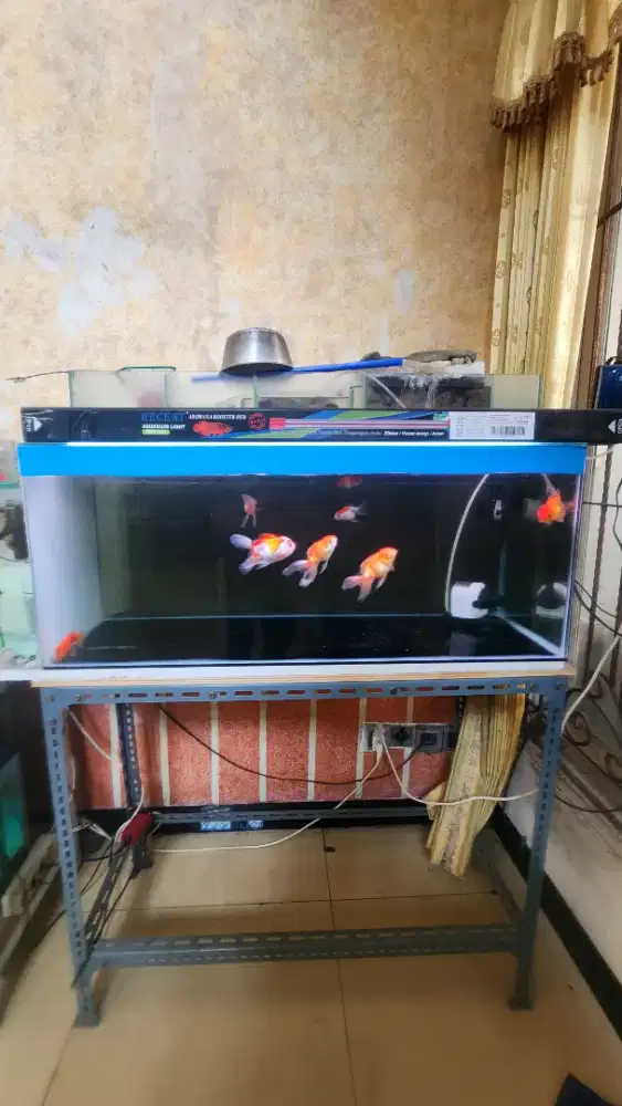 Aquarium , acc dan ikan