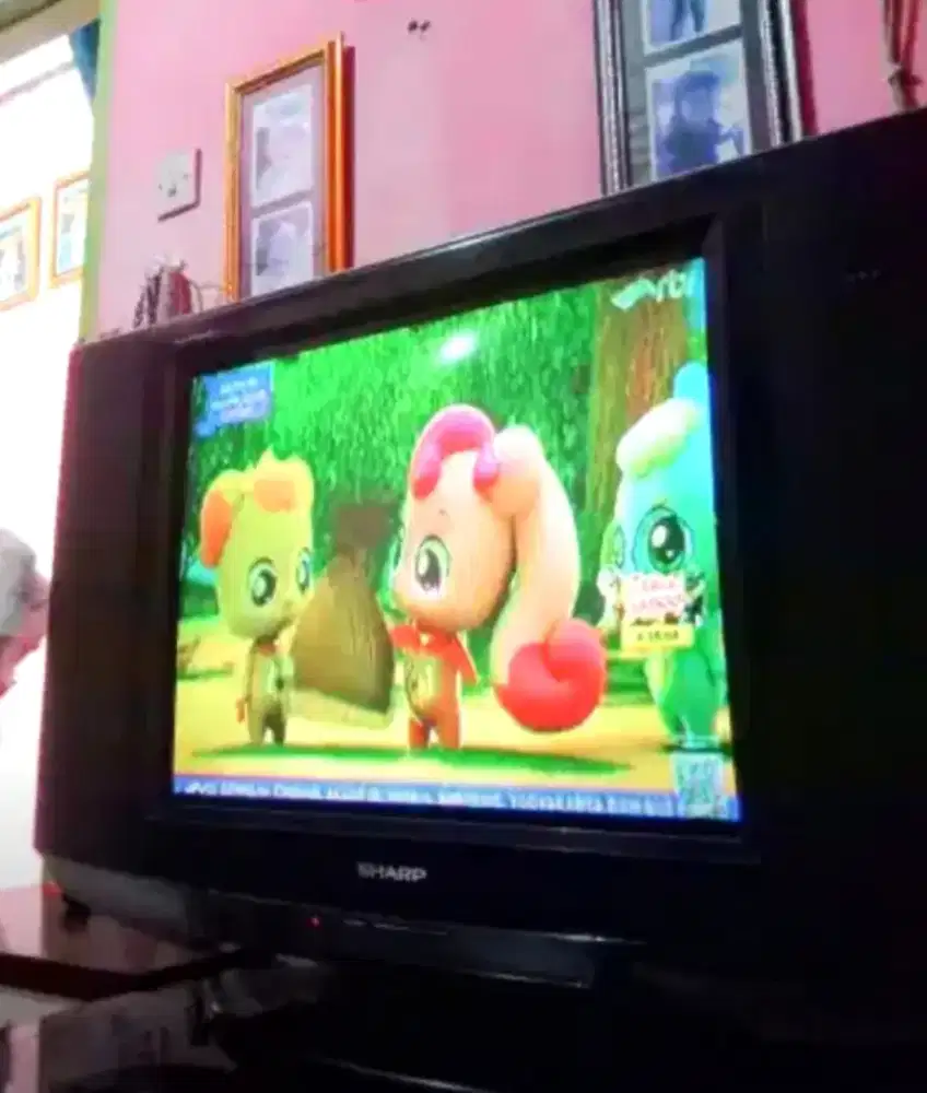 Tv Slim Sharp 21 in + STB digital