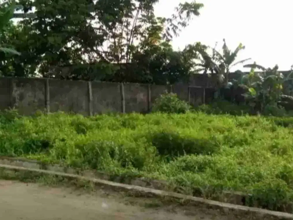 Tanah Area BTN 1301m² Sorong Kota