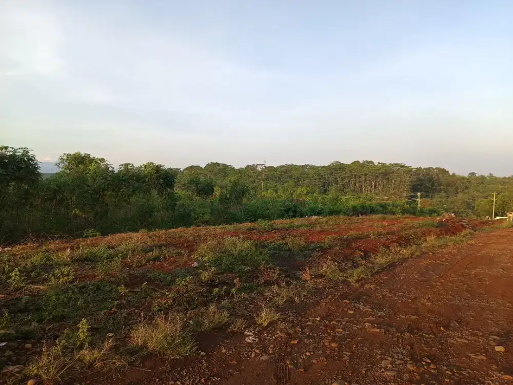 Dibutuhkan Art Yang Pandai Masak