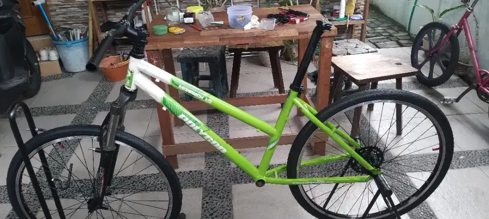 Polygon Lady Kulcer Rasa Hybrid