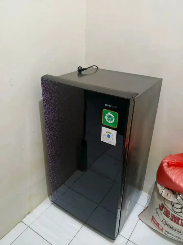 Kulkas Sharp 1 pintu SJ-N162SJ