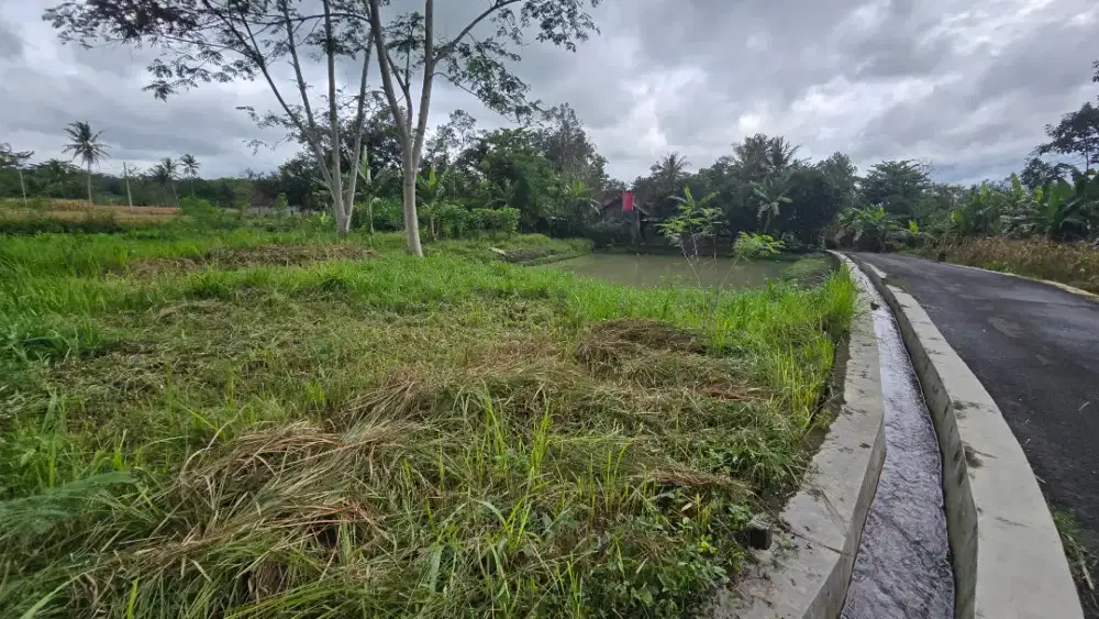 Dijual Lahan Pekarangan Mangku Jalan