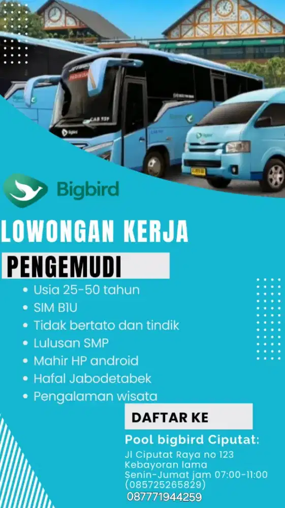 lowongan pengemudi bus big bird