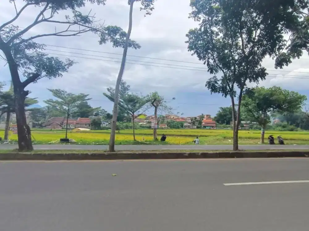 7 Menit ke Tol Soroja Tanah SHM 2.450 Meter Mainroad Jl.Raya Soreang-Ciwidey